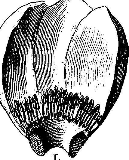 058/058020070000040_0.png