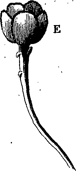 058/058020070000040_1.png