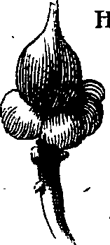 058/058020070000040_2.png