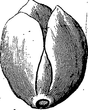058/058020070000040_3.png