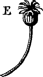 058/058020070000090_0.png