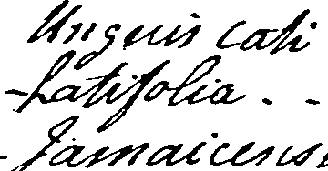 058/058060110000280_1.png