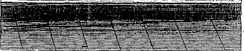 058/058180010000310_0.png