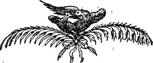 058/058190200000620_1.png