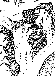 058/058310010205240_0.png