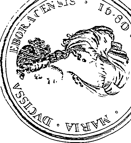 058/058340040000240_1.png
