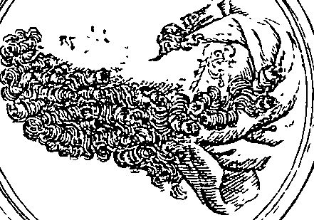 058/058340040001210_0.png