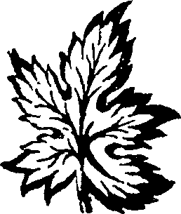 058/058360030101200_0.png