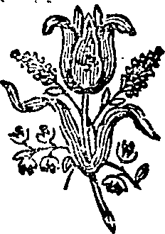 058/058360100100020_0.png