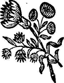 058/058360100200010_1.png