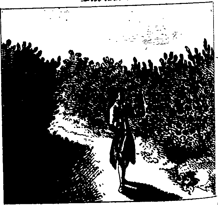 058/058370110001290_0.png