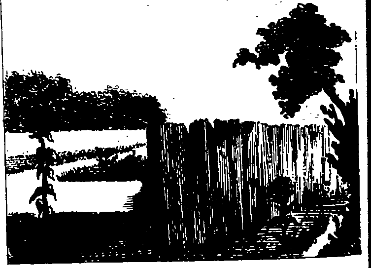 058/058370110001590_0.png