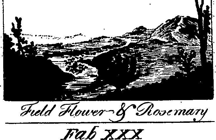 058/058370110001780_1.png
