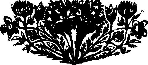 058/058390080000020_0.png