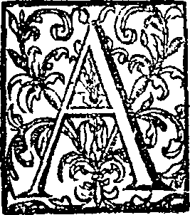 058/058540360000030_0.png
