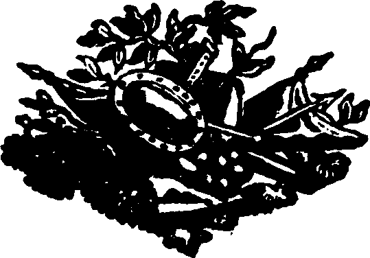 058/058620050000010_1.png