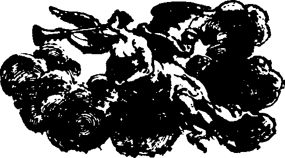 058/058620080000980_0.png