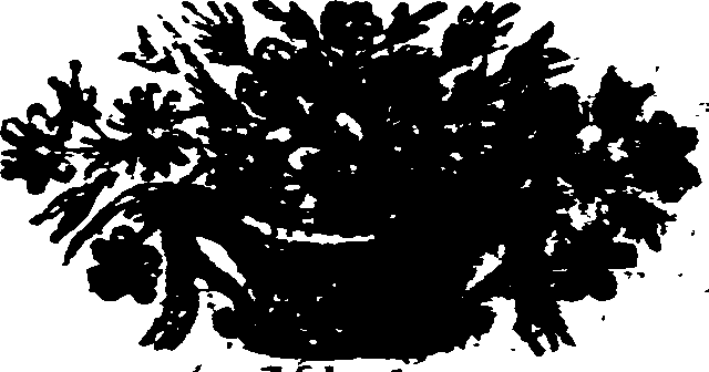 058/058640060000350_0.png