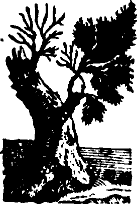 058/058780060000350_0.png