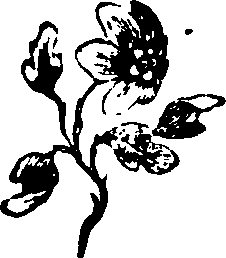 058/058780060000740_0.png