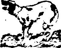 058/058780060000880_0.png
