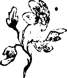 058/058780060001080_0.png