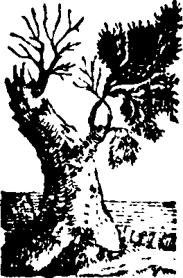 058/058780060001490_0.png