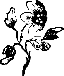 058/058780060001580_0.png
