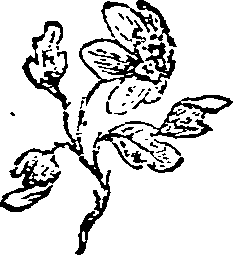 058/058780060002360_0.png