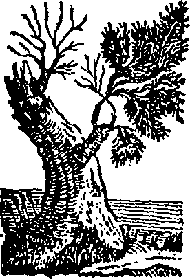 058/058780060002600_0.png