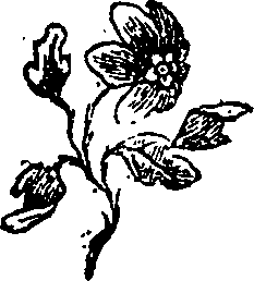 058/058780060002890_0.png