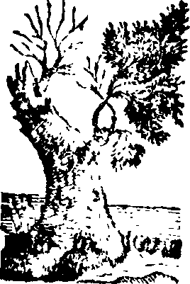 058/058780060003660_0.png