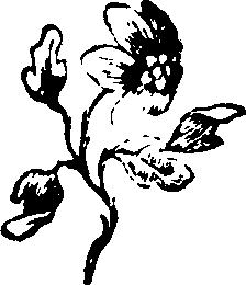058/058780060004190_0.png
