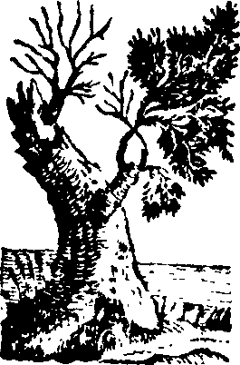 058/058780060004500_0.png