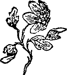 058/058780060004680_0.png
