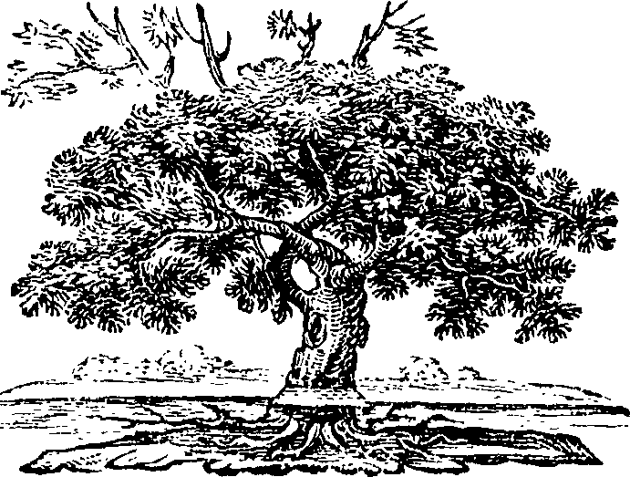 058/058840010102460_0.png