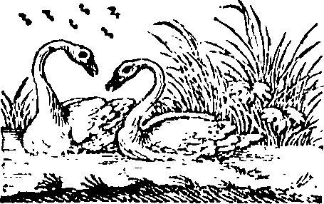 058/058840010201400_0.png