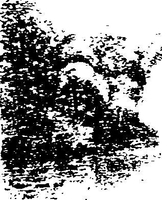 058/058880030100170_0.png