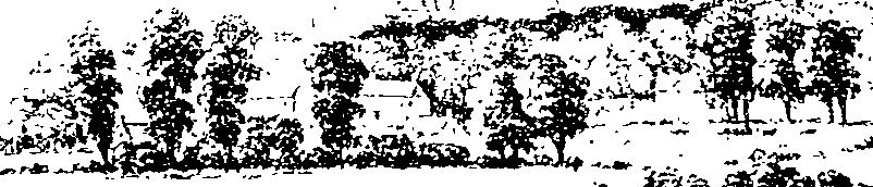 058/058880030100790_0.png
