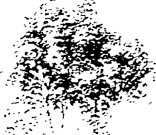 058/058880030100790_1.png