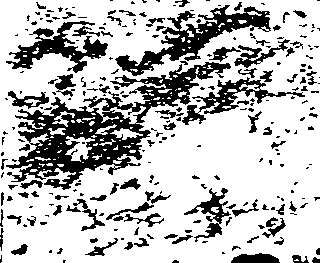058/058880030100850_0.png