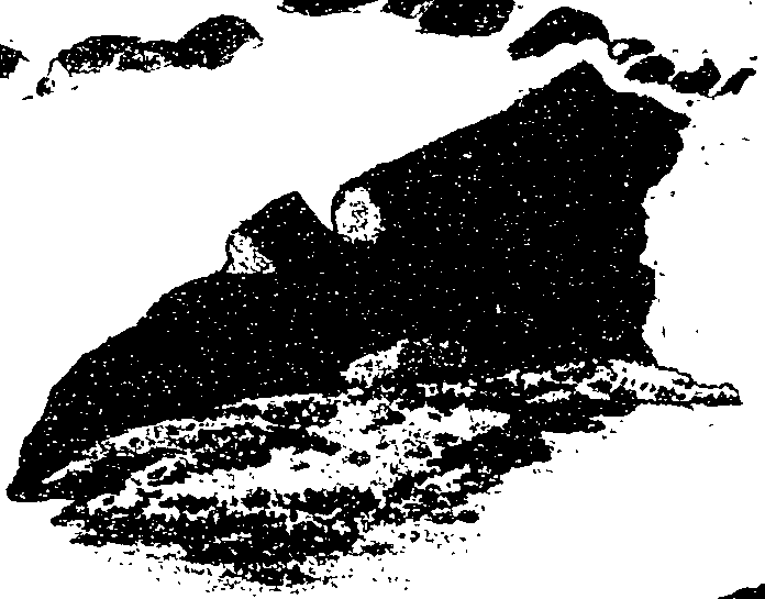 058/058880030100910_1.png