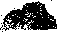 058/058880030101010_0.png