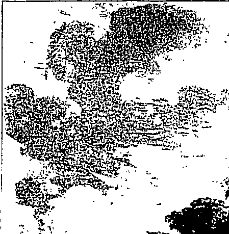 058/058900050100840_0.png