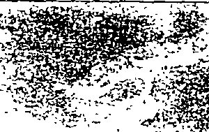 058/058920020102280_0.png