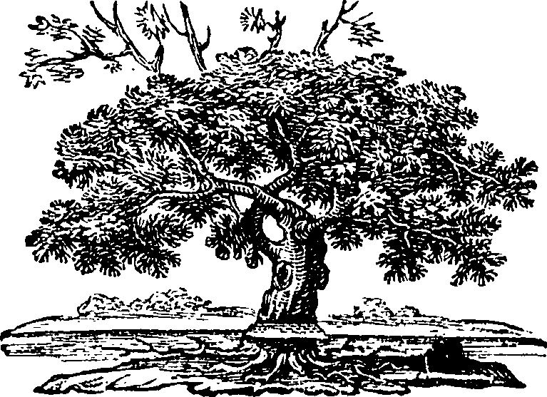 058/058920020102440_0.png