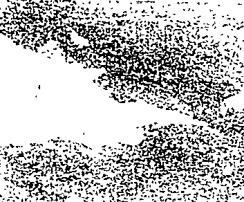 058/058920020201560_0.png