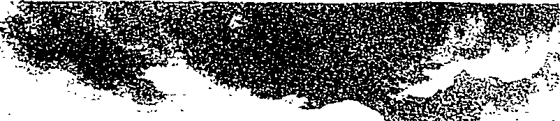 058/058920020201870_0.png