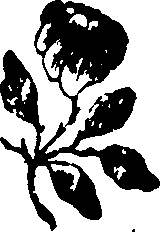 058/058930110001550_0.png