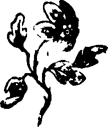058/058930110001580_0.png